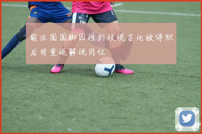 前法国国脚因性别歧视言论被停职后将重返解说岗位