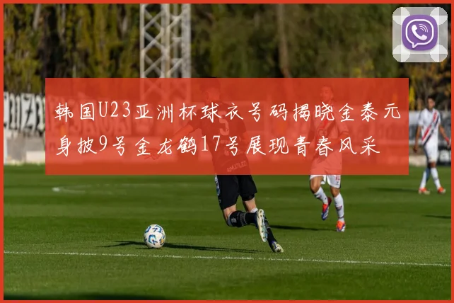 韩国U23亚洲杯球衣号码揭晓金泰元身披9号金龙鹤17号展现青春风采
