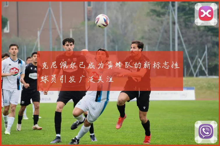 克尼佩尔已成为黄蜂队的新标志性球员引发广泛关注