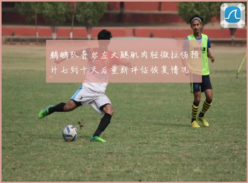 鹈鹕队普尔左大腿肌肉轻微拉伤预计七到十天后重新评估恢复情况