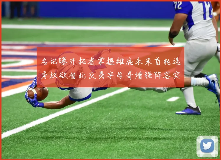 名记曝开拓者掌握雄鹿未来首轮选秀权欲借此交易字母哥增强阵容实力