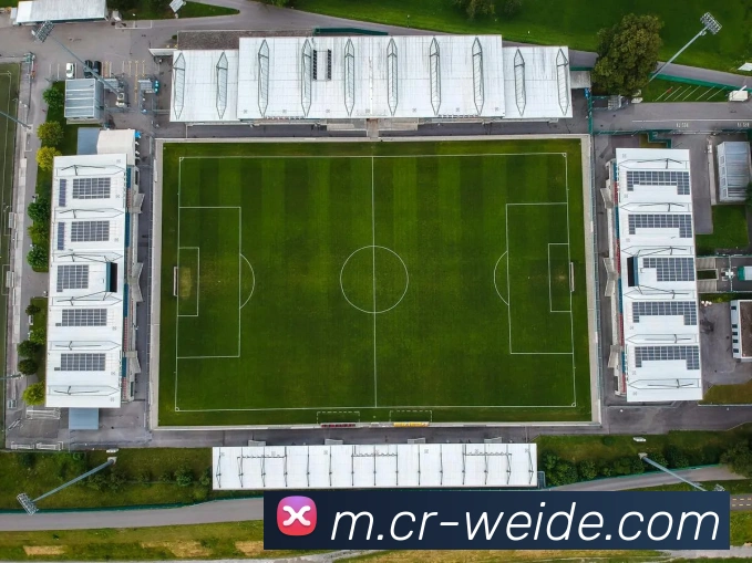 伟德体育服务体系